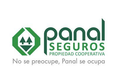 Logo de Panal Seguros, seguros para autos en Paraguay